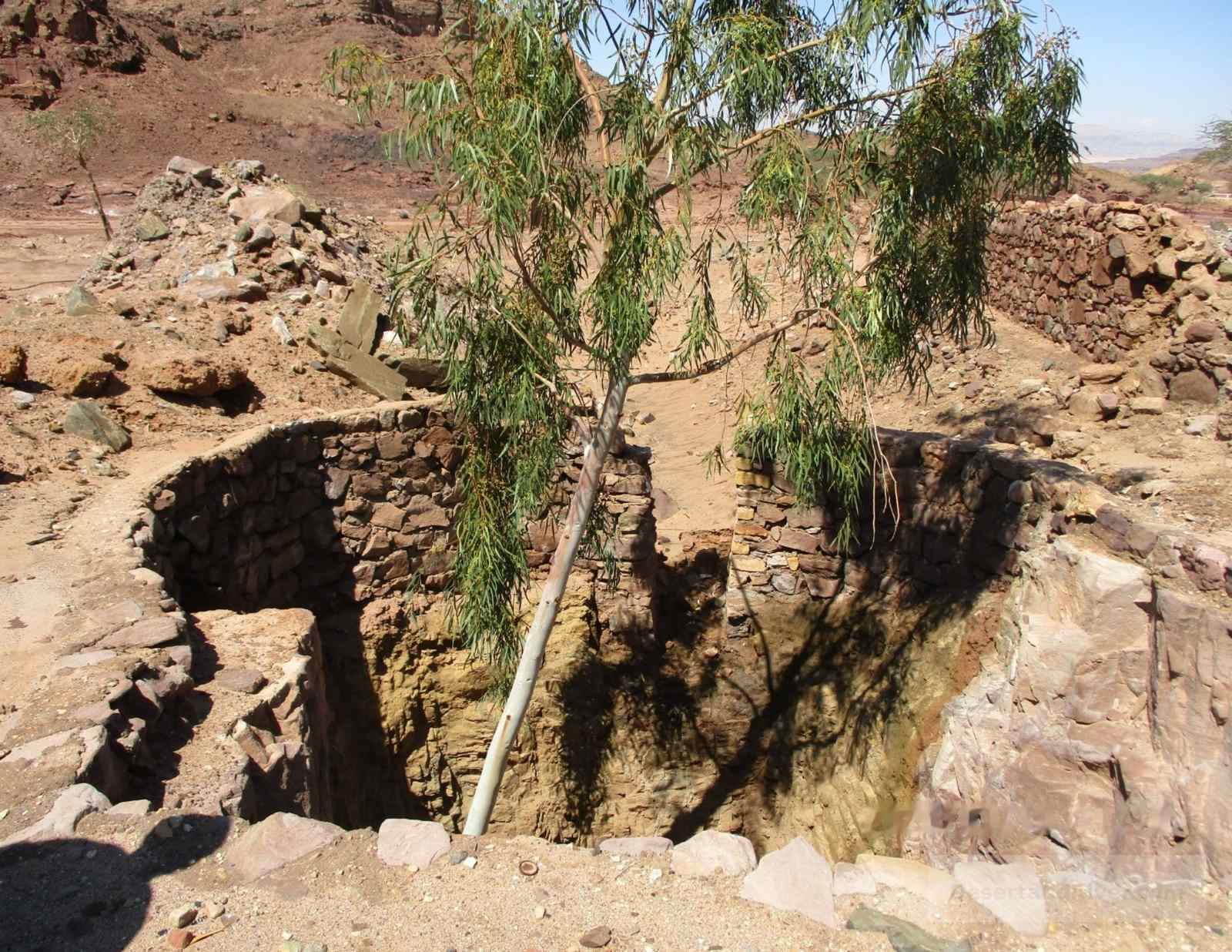 Stone-lined well at Bir Nasb in South Sinai, with a tree growing beside the water shaft and rocky desert ground around it.