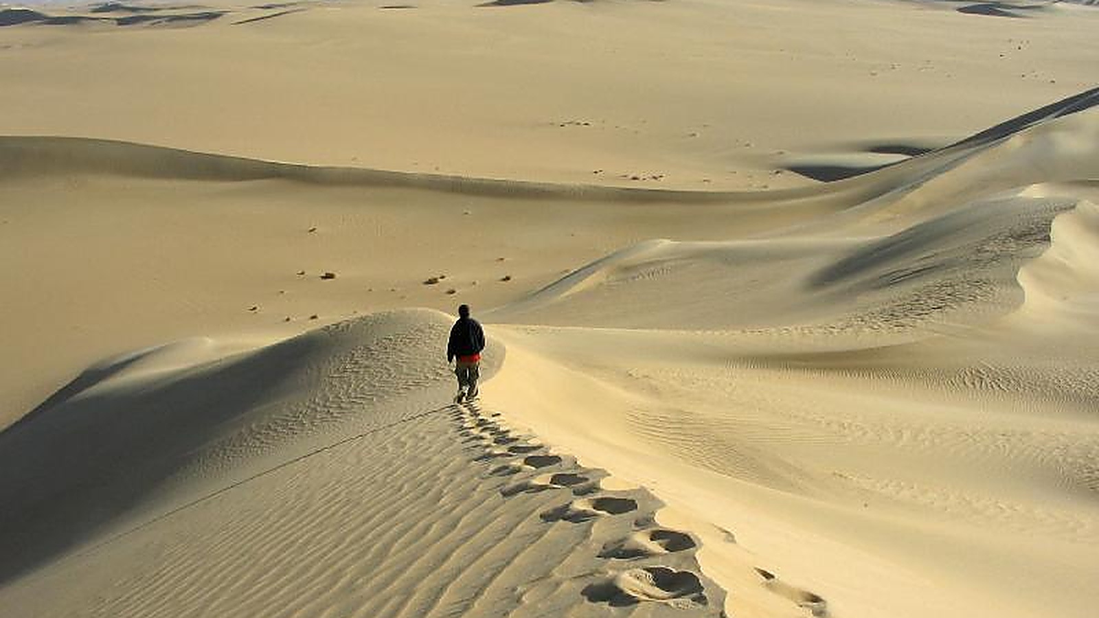 Desert walking journey in Sinai