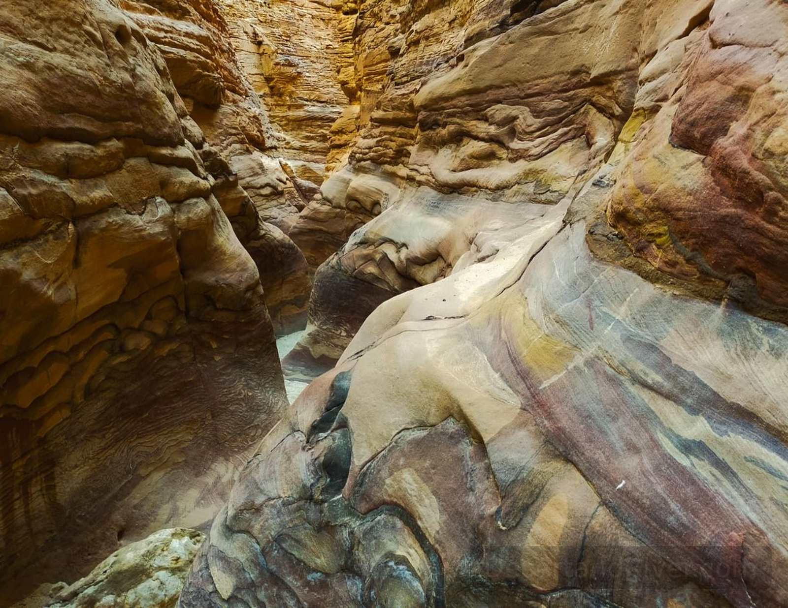 Layered sandstone walls in Coloured Canyon near Nuweiba, Sinai Peninsula, showing mineral bands in warm reds and ochres.