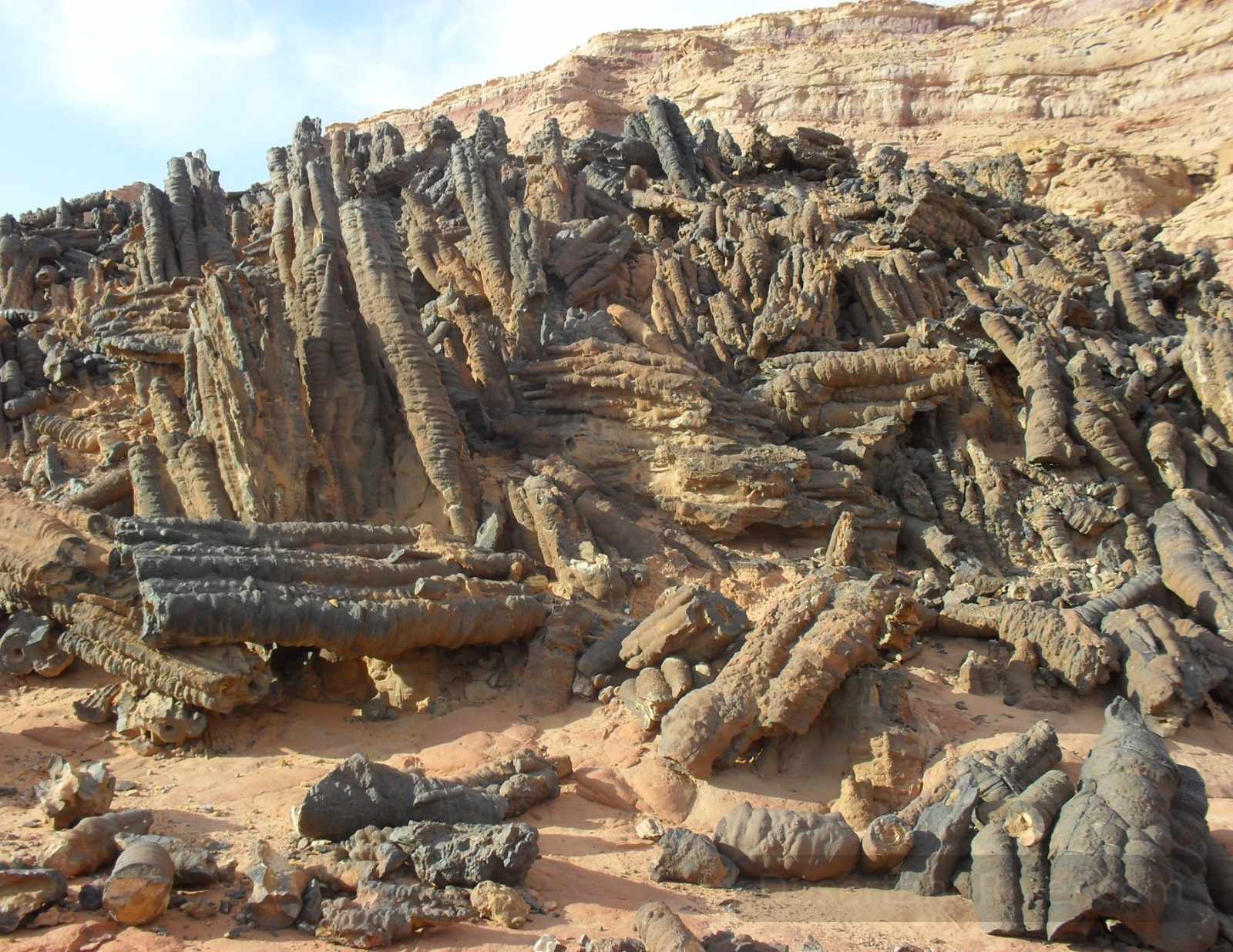 Forest of Pillars in South Sinai, with upright tubular rock columns clustered beneath the Tih Plateau in a sandy desert landscape.