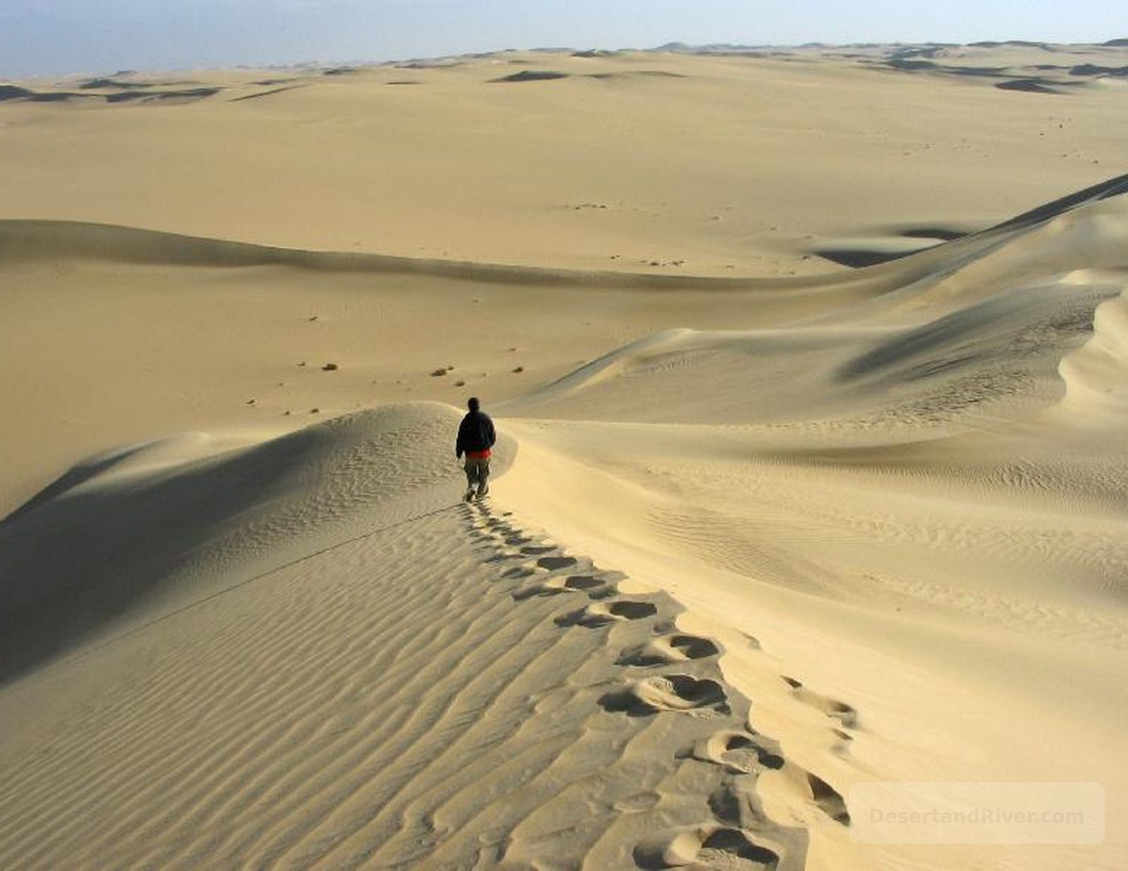 Hedoda Sand Dune in southern Sinai with a lone hiker walking along a ridge of wind-sculpted dunes and fading footprints.