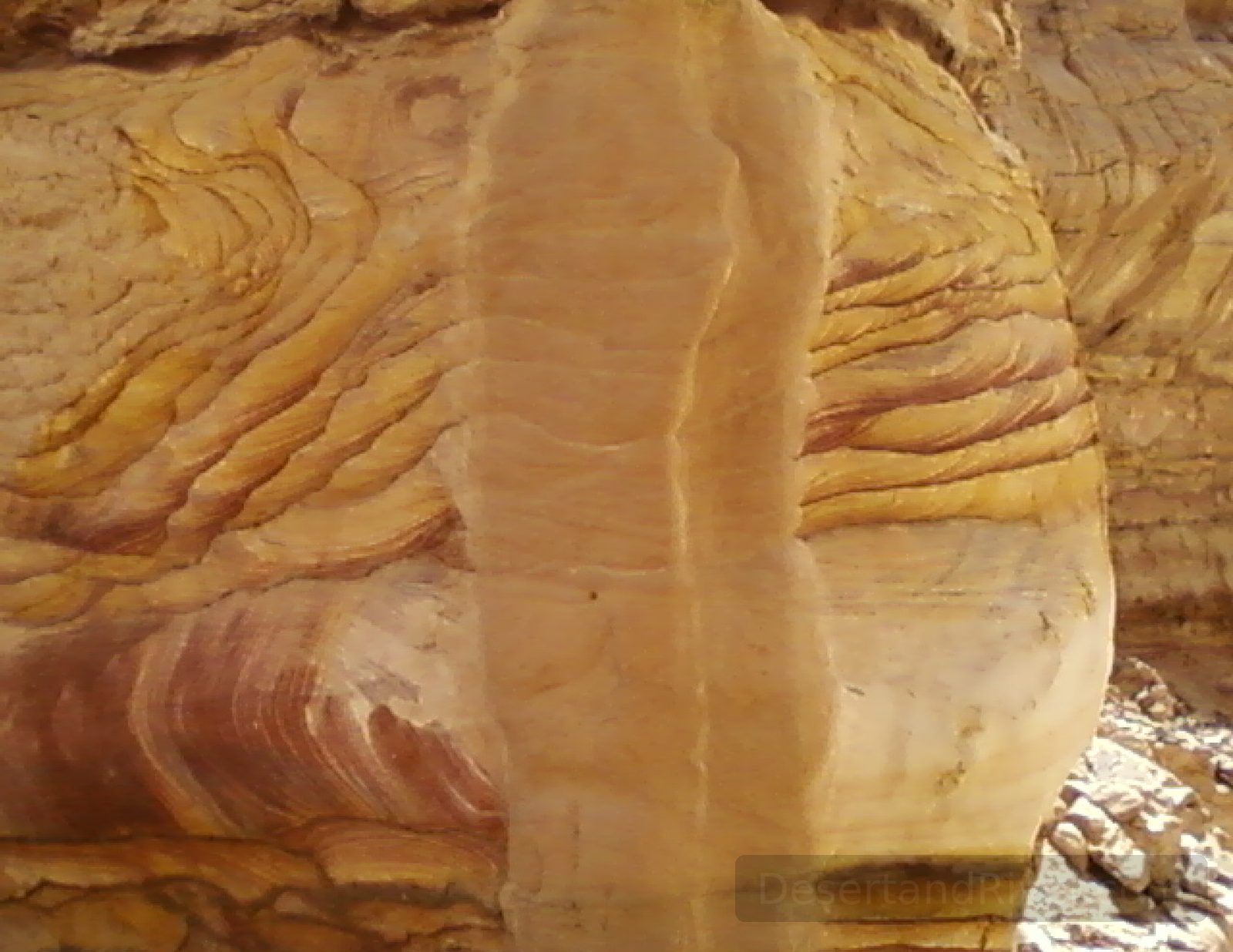 Close-up of banded sandstone in Rainbow Canyon, Sinai Peninsula, showing layered mineral staining in warm ochres and reds.