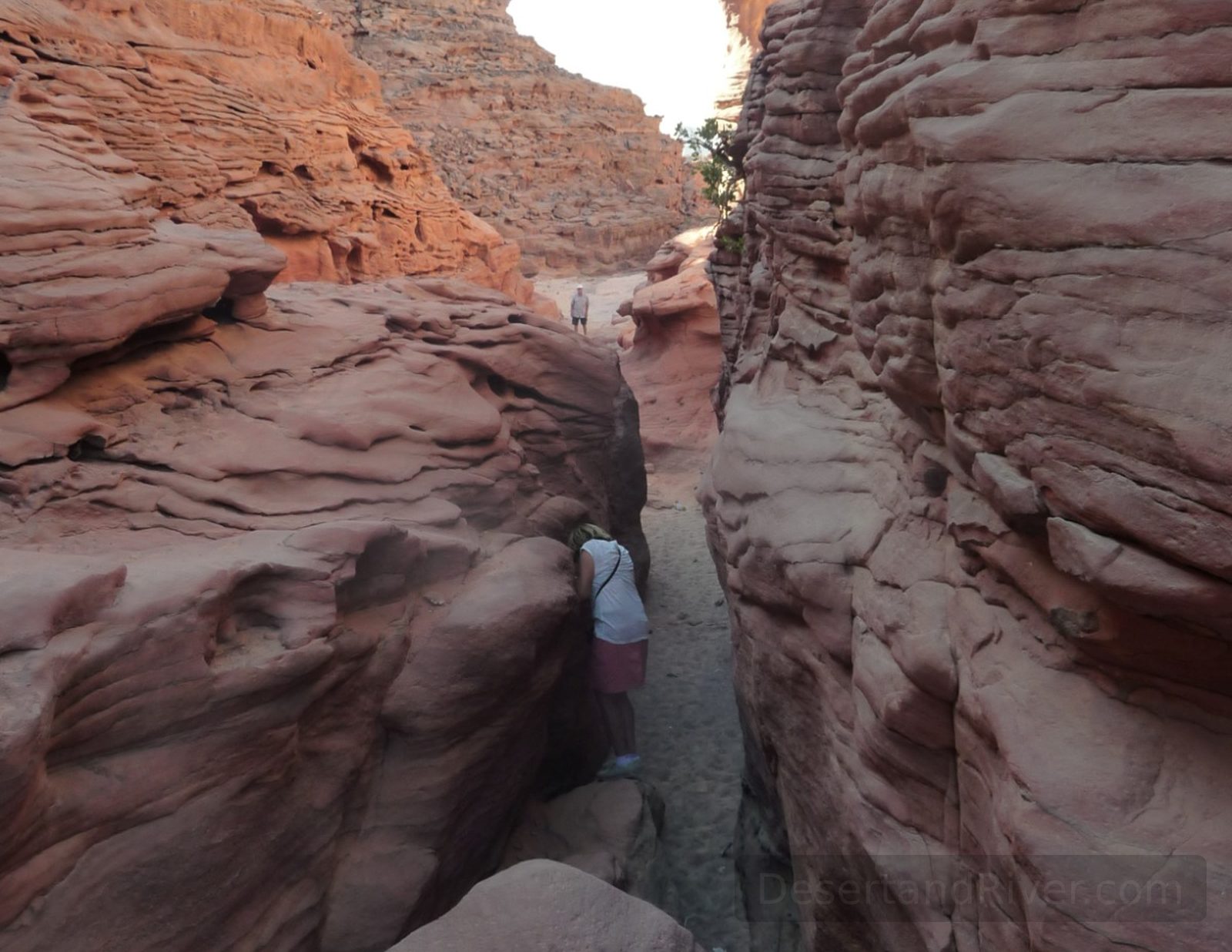 Narrow passage through Salama Canyon in southern Sinai, with layered red and cream sandstone walls and hikers in the distance.