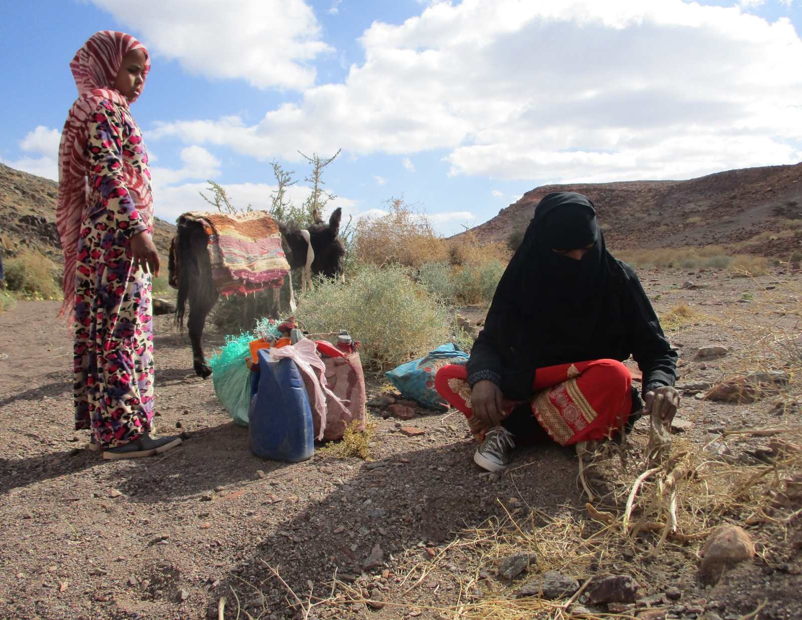 Umm Yasser on the Sinai Trail in South Sinai, sitting on rocky ground beside supplies, with a child and a donkey in a desert valley under a cloudy sky.