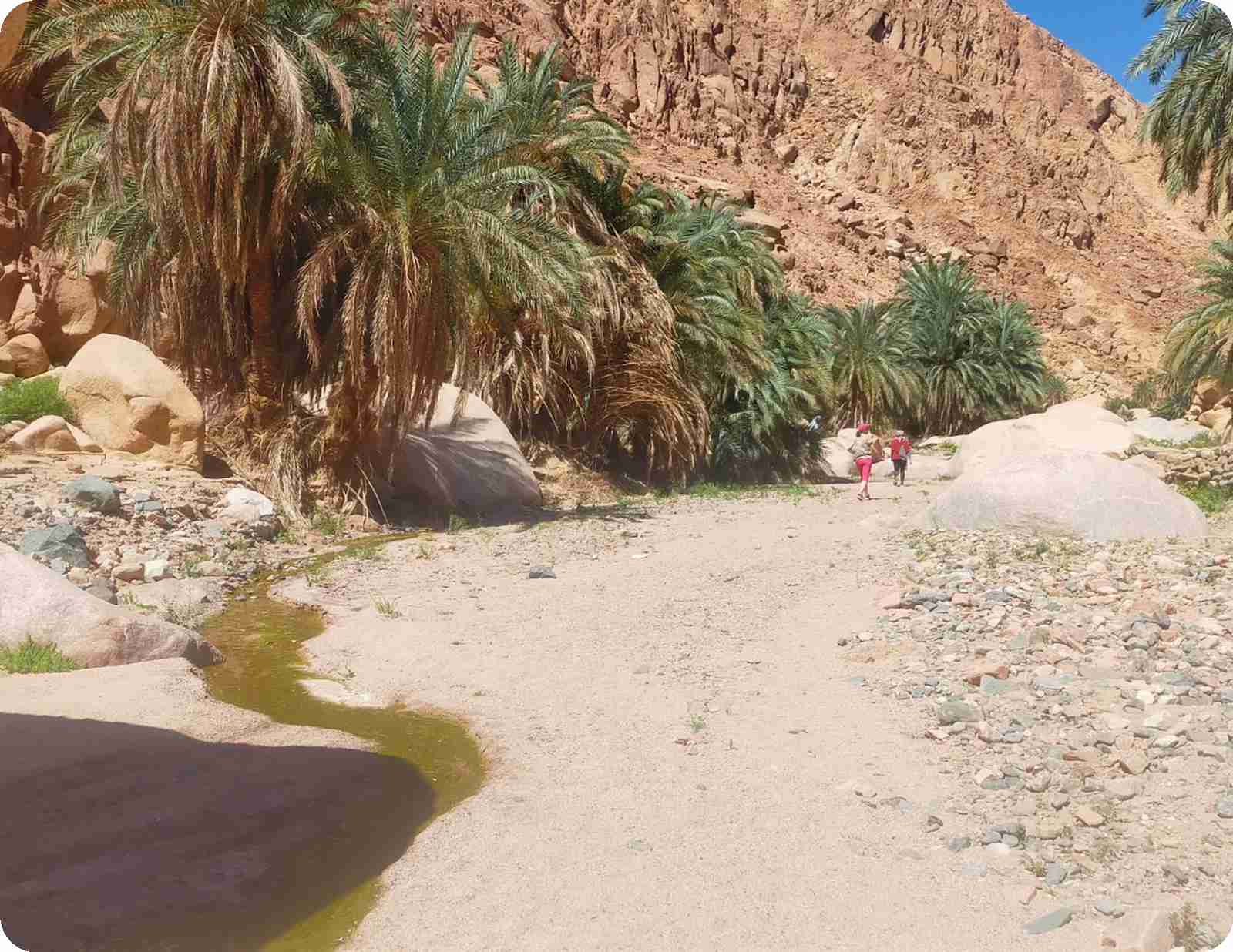 Faint rock carvings on a dark sandstone slab in Wadi el Kit (Wadi Kid), South Sinai, Egypt.