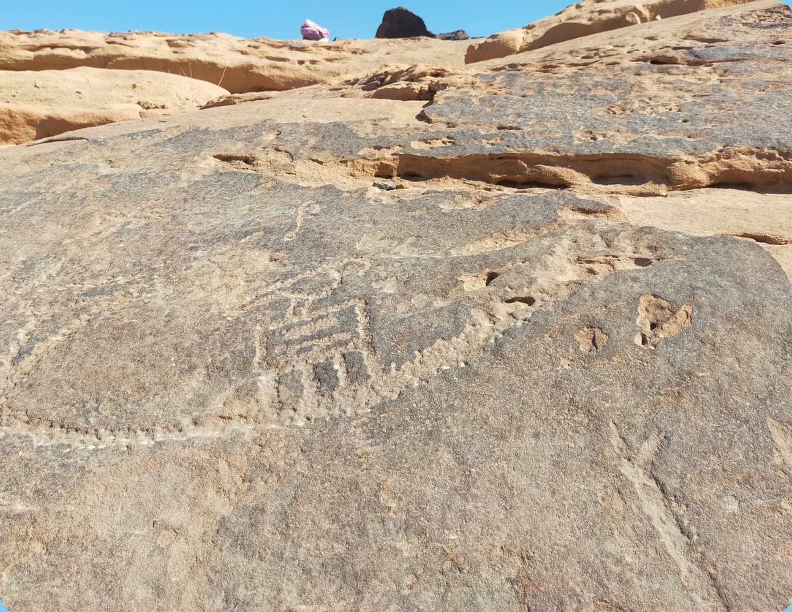 Ancient rock engravings on a weathered stone panel in Wadi Omeria, South Sinai, with pale sandstone cliffs and clear desert light.