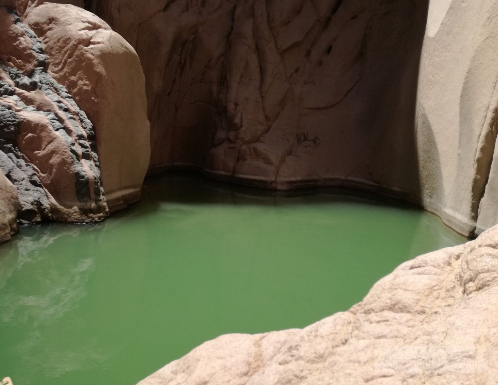 Green freshwater pool in Wadi Weshwashy near Nuweiba, set between smooth sandstone canyon walls in the Sinai Peninsula.